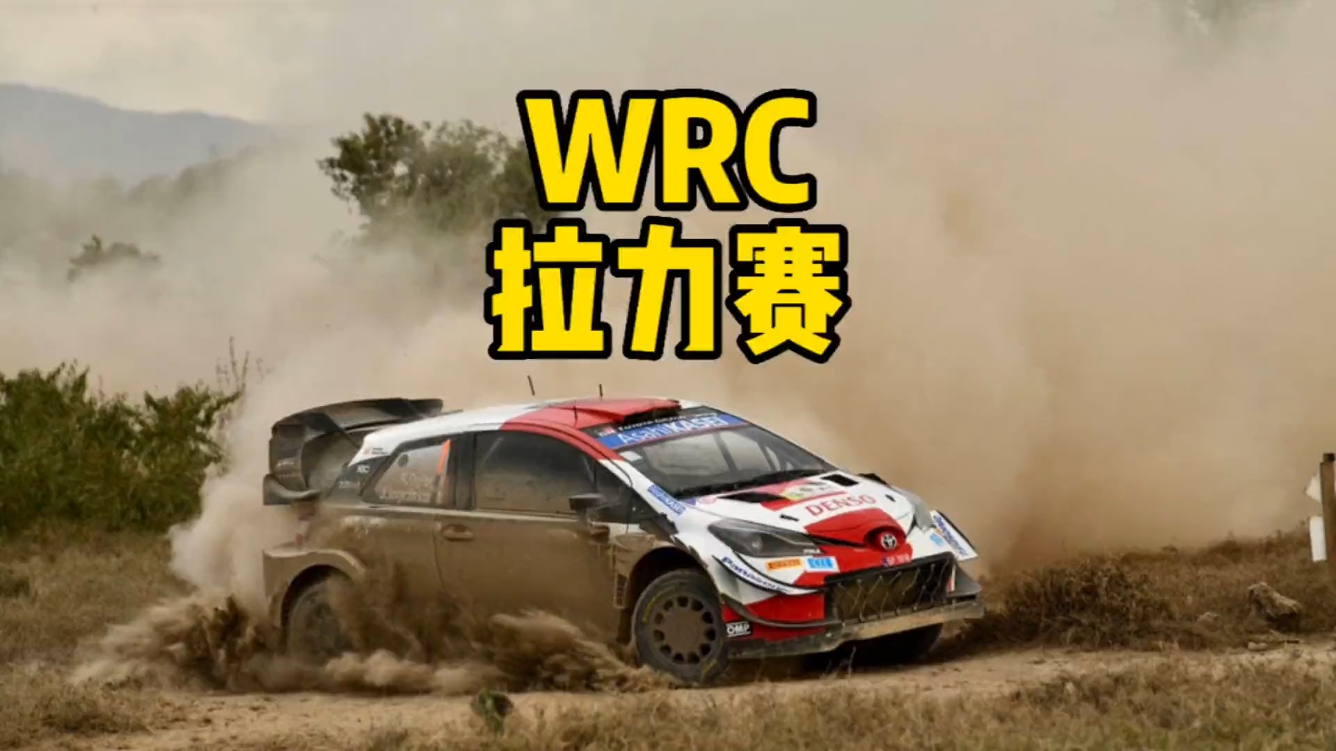 九游体育app-包含WRC比赛日常：车队的幕后生活揭秘的词条