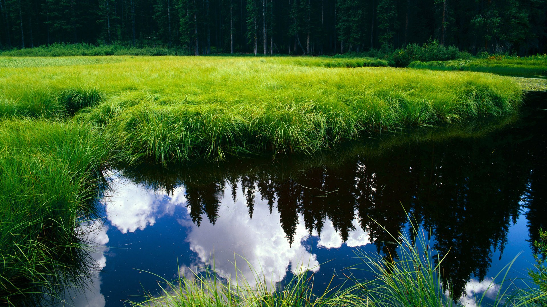 Jiuyou Sports-佩纳罗尔球员转会传闻升级，佩纳罗尔vs水晶体育