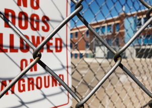 九游娱乐官网-青少年安全教育模式，青少年安全教育模式是什么