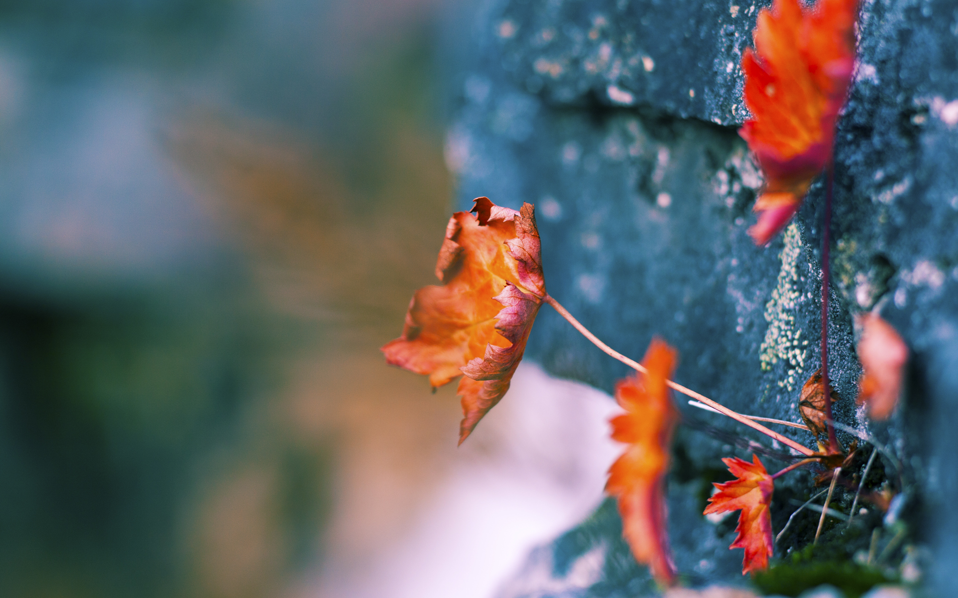 九游体育官方网站-世界杯中国女足逆袭 数据回顾展现潜力，中国女足世界杯最佳战绩