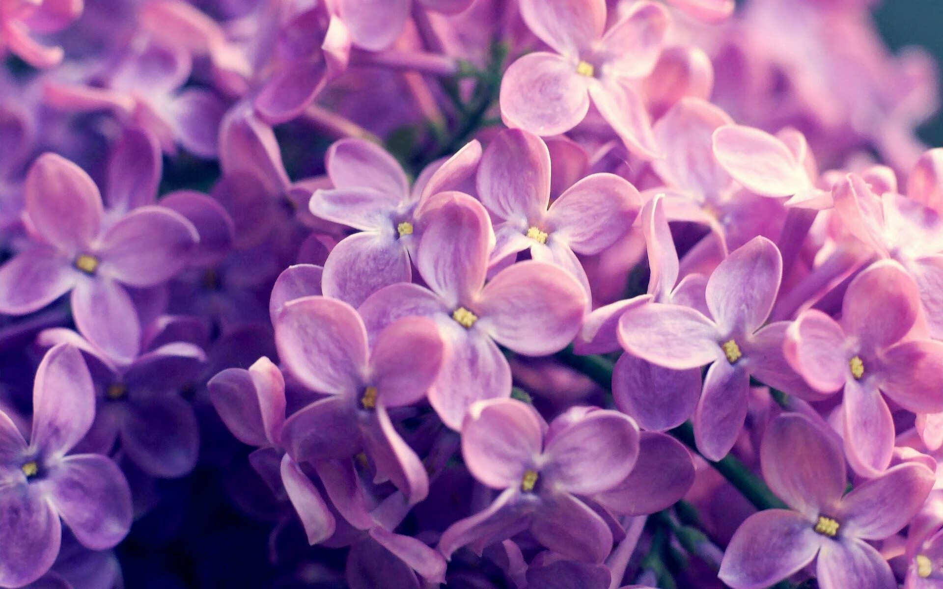 -国家花样滑冰队公布教练团队配置更新，目前国内好的花样滑冰教练