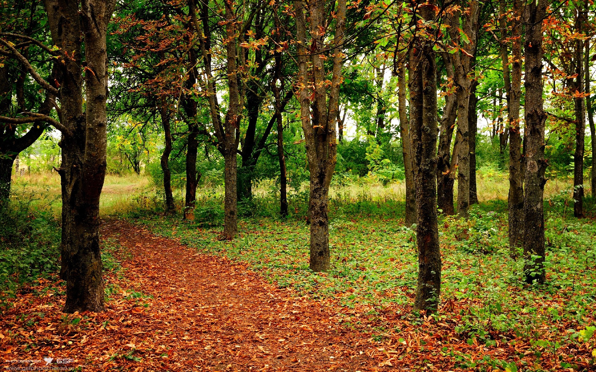九游平台-李恩：全黑队的“中场能量”，突破速度与传球技巧相得益彰