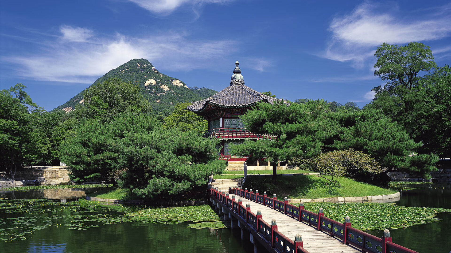 九游娱乐体育官网-法甲顶级对抗：战术调整与攻城略地相辅相成，法甲阵营