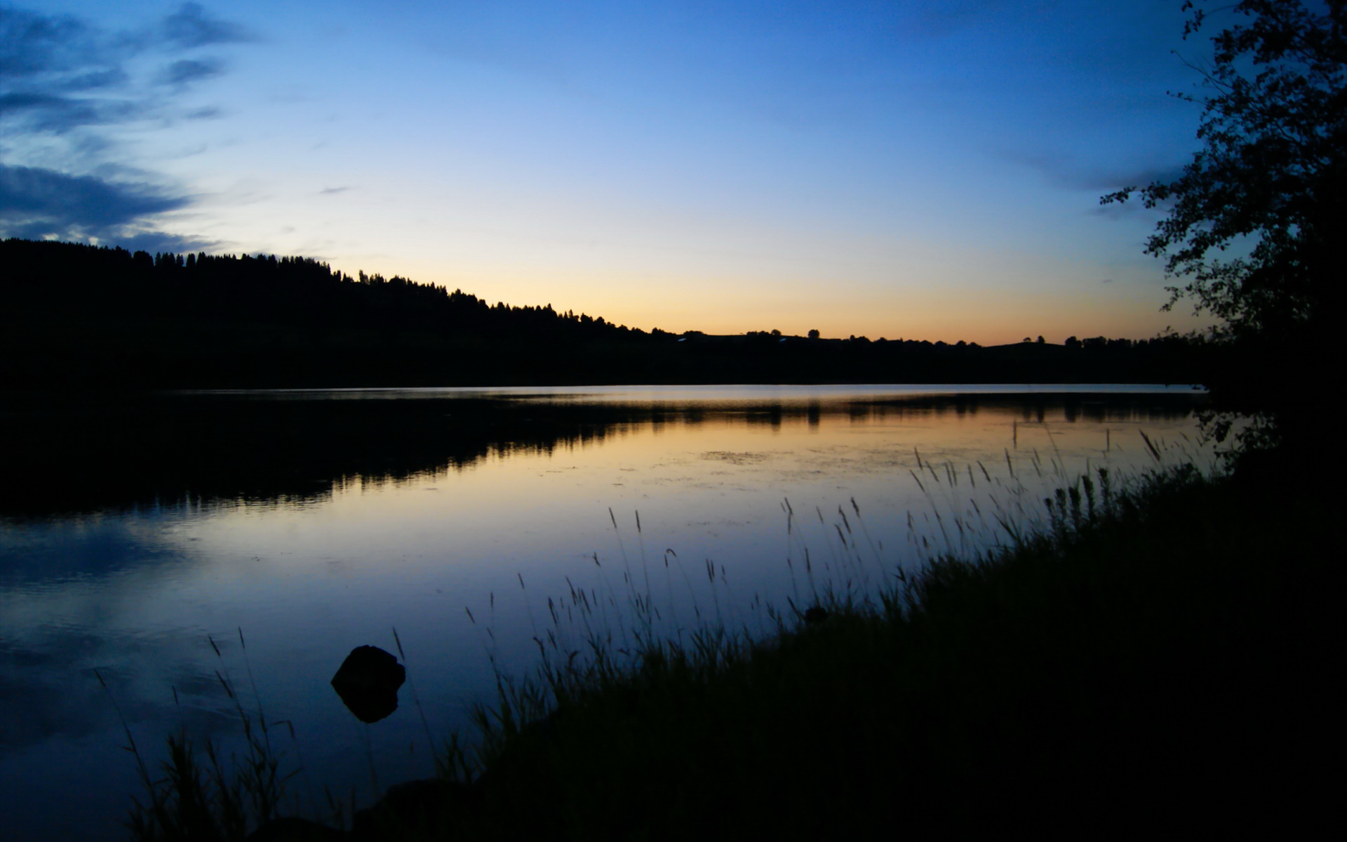 九游体育线上-独行侠旧将重回训练营场面感人，独行侠新教练